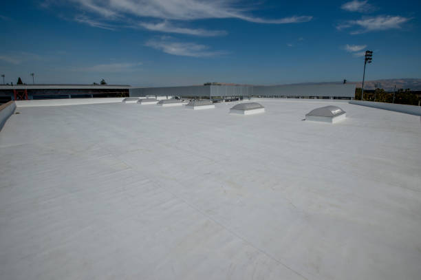 Best Roof Coating and Sealing  in Valley Center, CA