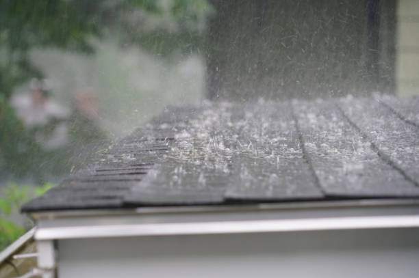 Best Skylight Installation and Repair  in Valley Center, CA